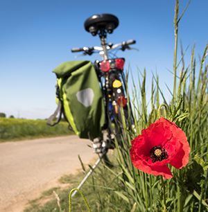 Mit Egtved - Cykelture i Egtved